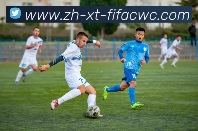 多媒体互动体验